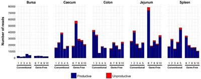 The influences of microbial colonisation and germ-free status on the chicken TCRβ repertoire